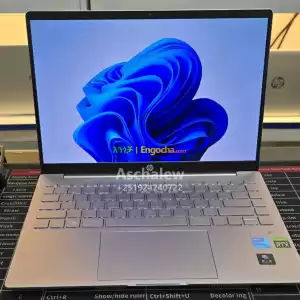 hp pavilion plus  mid gaming laptop     Dedicated 4GB RTX 2050 Graphics      12th Generat Price in Ethiopia